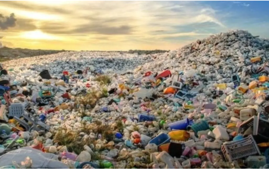 Экологи Greenpeace назвали Турцию свалкой европейских отходов