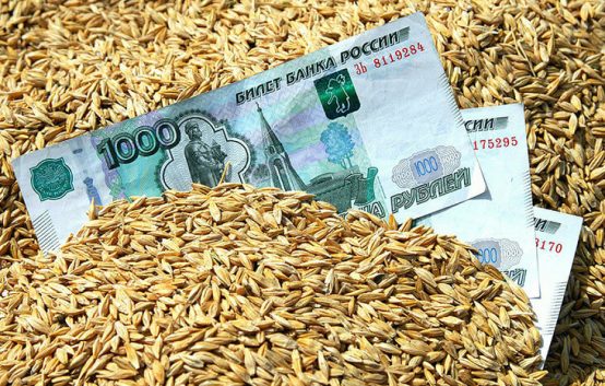 В России решили держать зерновые для внутреннего рынка