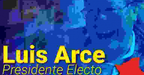 Луис Арсе выиграл на выборах в Боливии