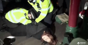 Лондон погряз в скандалах из-за убитой полицейским женщины