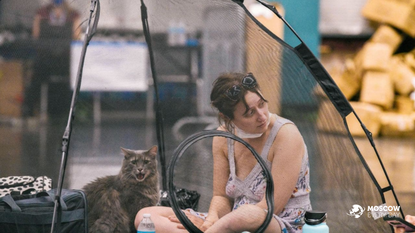 Аномальная жара в Канаде привела к гибели около 100 человек