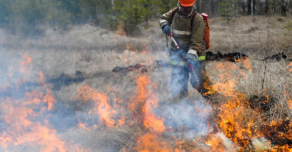 Губернатор Челябинской области получил поручение от Путина разобраться с лесными пожарами