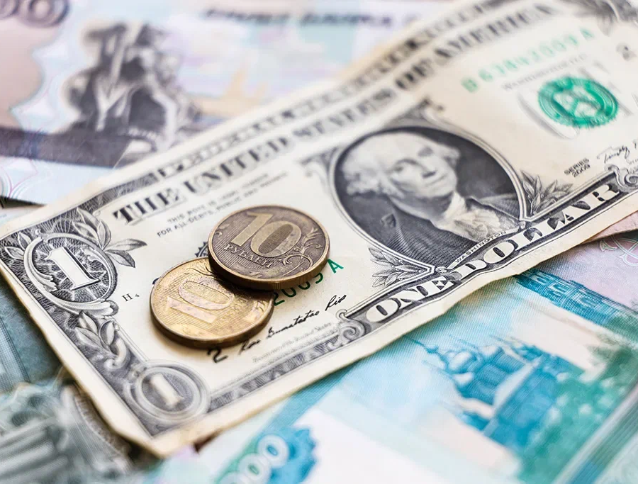 Доллары в рубли февраль. Доллары в рубли. Доллар евро рубль. Доллар фото. Иностранная валюта.