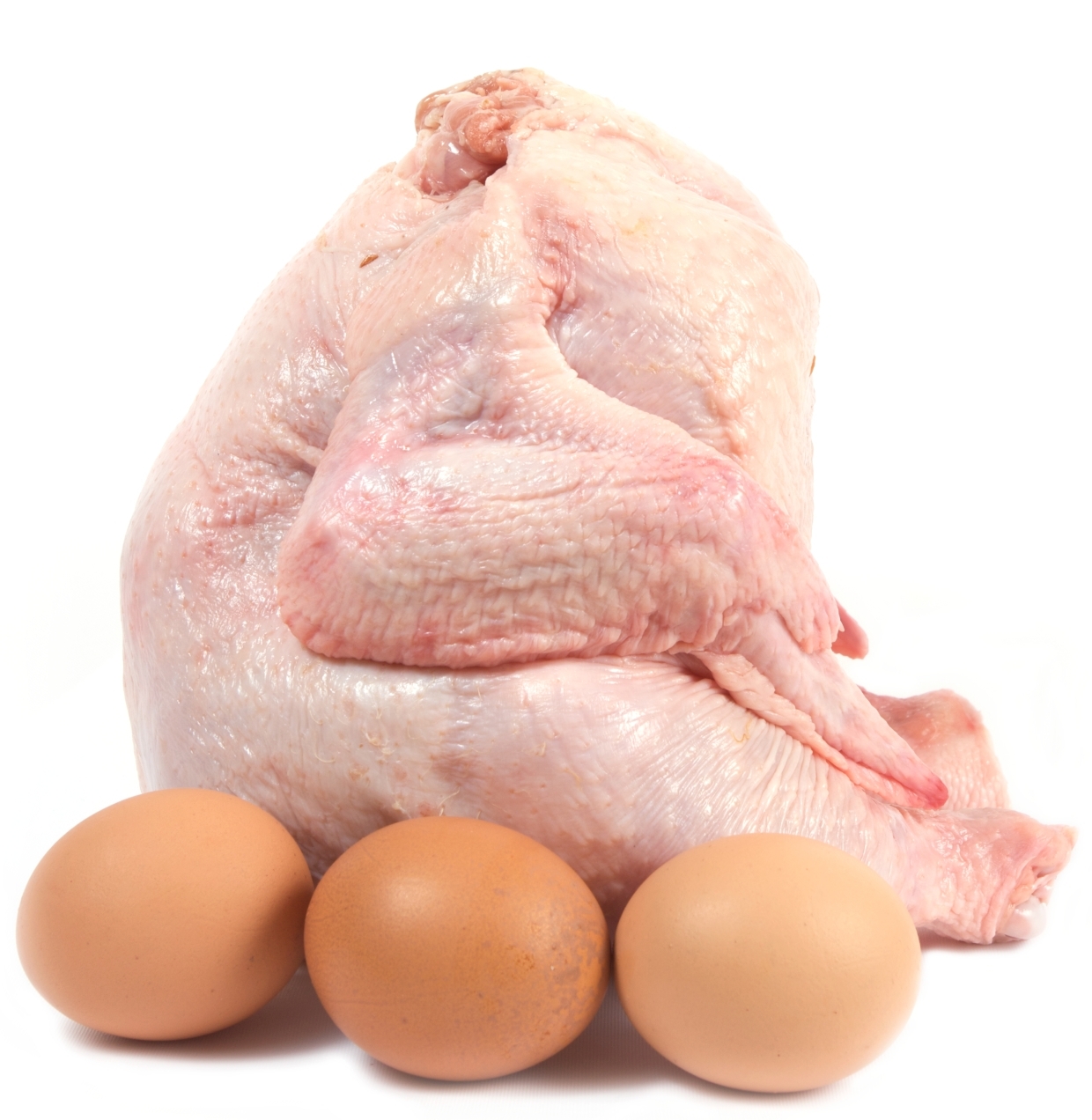 Цыпленок бройлер корнишон. Куриное мясо и яйца. Домашняя курица. Тушка куриная. Яйцо мясная курица